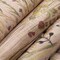 Upholstery Fabric - Pink Abstract & Geometric,Floral Upholstery Fabric 54 Inches"